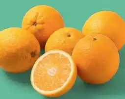 PENNY Marktliebe Orangen Angebot