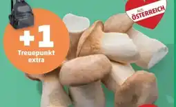 PENNY Echt Bio Kräuterseitlinge Angebot