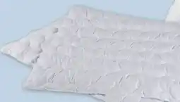 PENNY Steppdecke Angebot