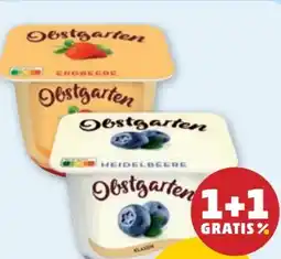 PENNY Danone Obstgarten Angebot