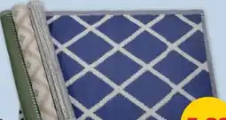 PENNY Outdoor-Teppich Angebot