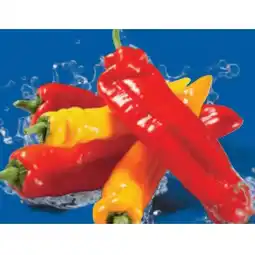 Lidl Spitzpaprika Mix Lidl APP Preis Angebot