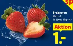 Lidl Erdbeeren Klasse I Angebot