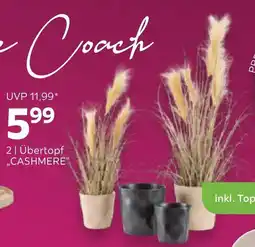 Mömax Übertopf cashmere Angebot