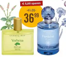 Martin Reformstark Verbena, Fiordaliso-Cornflower Angebot