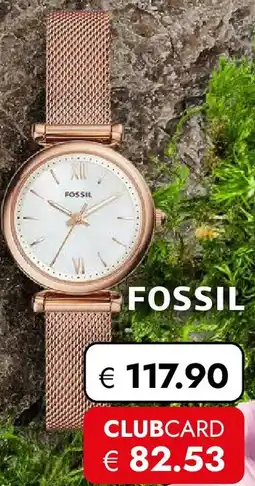 Travel FREE Fossil Angebot