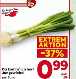 Billa Da komm' ich her! Jungzwiebel Angebot
