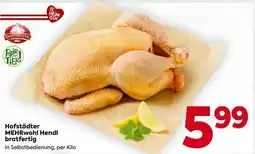 Billa Hofstädter mehrwohl hendl bratfertig Angebot