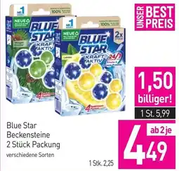 Sutterlüty Blue Star Beckensteine Angebot