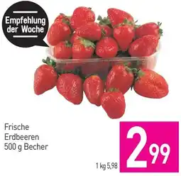 Sutterlüty Frische Erdbeeren Becher Angebot