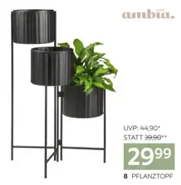 XXXLutz Pflanztopf Angebot