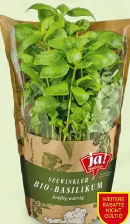 Billa ja!natürlich Bio Kräuter Angebot