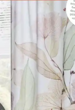 XXXLutz Esposa Fertigvorhang Angebot