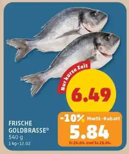 PENNY FRISCHE GOLDBRASSE Angebot