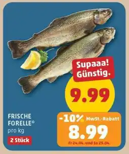 PENNY Frische Forelle Angebot