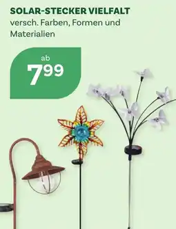 Bellaflora Solar-stecker vielfalt Angebot