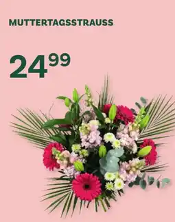 Bellaflora Muttertagsstrauss Angebot