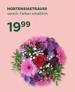 Bellaflora Hortensiastrauss Angebot