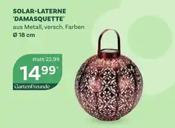 Bellaflora Solar-laterne damasquette Angebot