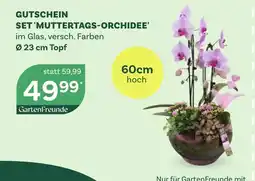 Bellaflora Gutschein set muttertags-orchidee Angebot