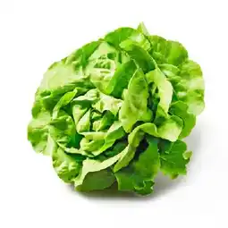 Billa Häuptelsalat BILLA Angebot