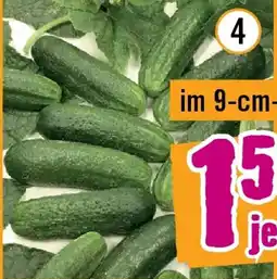 Hornbach Bio-freilandgurke Angebot