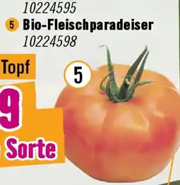 Hornbach Bio-fleischparadeiser Angebot