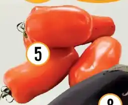 Hornbach Bio-Flaschenparadeiser San Marzano Angebot