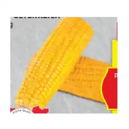 Hofer Zuckermais vorgekocht aus Österreich HOFER Angebot