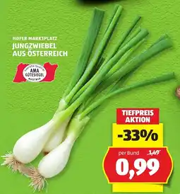 Hofer Jungzwiebeln aus Österreich Angebot