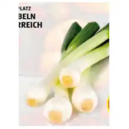 Hofer Jungzwiebeln aus Österreich HOFER Angebot