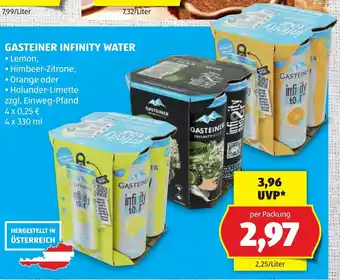 Gasteiner infinity water