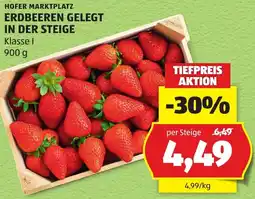 Hofer Erdbeeren gelegt in der Steige Angebot