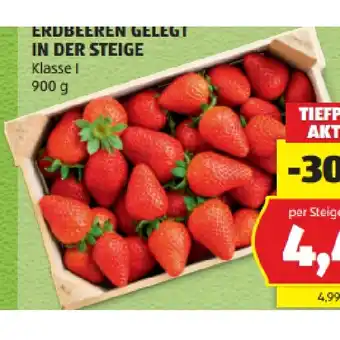 Erdbeeren gelegt in der Steige HOFER