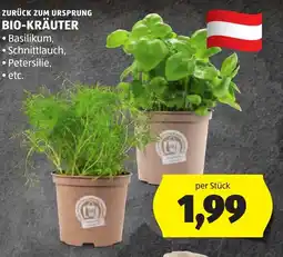 Hofer Zurück zum ursprung Bio-Kräuter Angebot