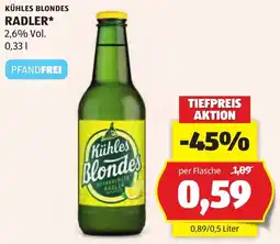 Hofer Radler Angebot