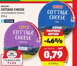 Hofer Milsani cottage cheese Angebot