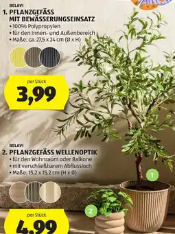 Hofer Pflanzgefäss mit Bewässerungseinsatz Angebot