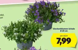 Hofer Glockenblumen Schale Angebot