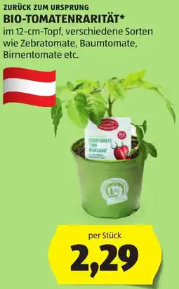 Hofer Bio-Tomatenrarität Angebot