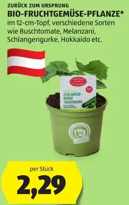Hofer Bio-Fruchtgemüse-Pflanze Angebot