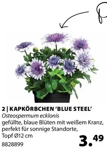 Kapkörbchen blue steel