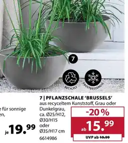 Dehner Pflanzschale Angebot