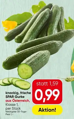 Spar Knackig, frische spar gurke Angebot