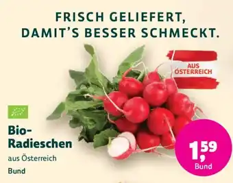 Bio- Radieschen