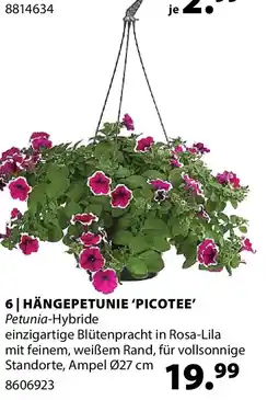 Dehner Hängepetunie picotee Angebot