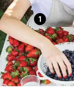 Dehner Erdbeere 'senga sengana Angebot