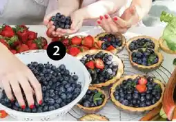 Dehner Heidelbeeren Angebot