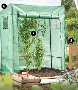 Dehner Tomaten- reifehaus Angebot