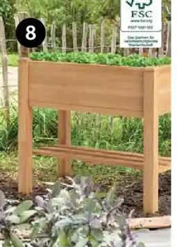 Dehner Balkonhochbeet quebec Angebot